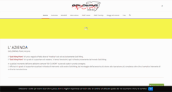 Desktop Screenshot of goldwingpoint.com